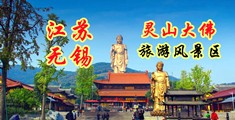 特黄的一级肏屄视频江苏无锡灵山大佛旅游风景区