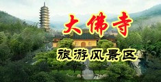 狂艹黑丝美妇中国浙江-新昌大佛寺旅游风景区
